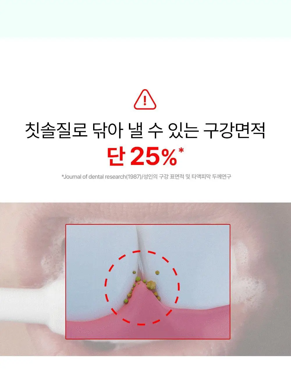 [불소 포함] 노도르 고체가글 30정 상세페이지 7